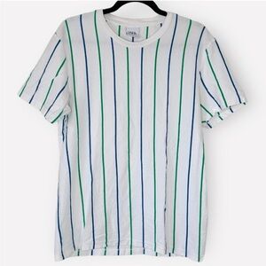 ZARA Men’s Blue and Green Striped Short Sleeve T-Shirt size M